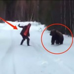 bear-attack-video-2-png