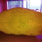 durian-1