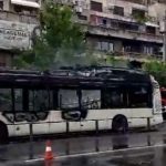 autobuz-15