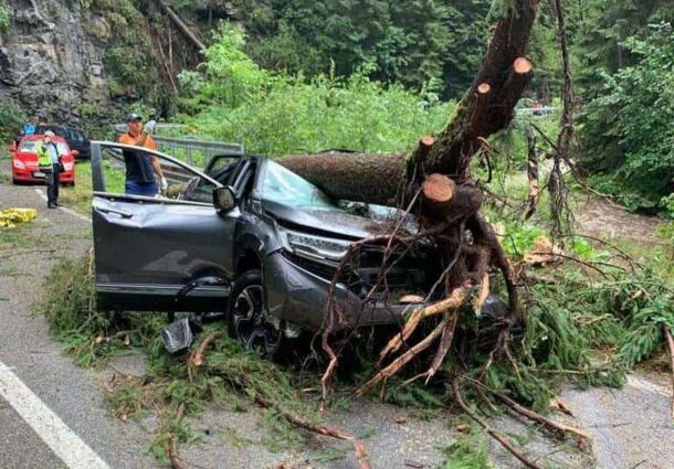 Transalpina, copac cazut, furtuna, femeie decedata