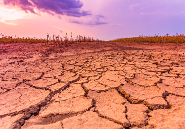 warm-dry-cracked-land-with-dead-cropps-climate-change-concept-with-extreme-heat