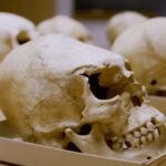 cranii-oameni-primitivi