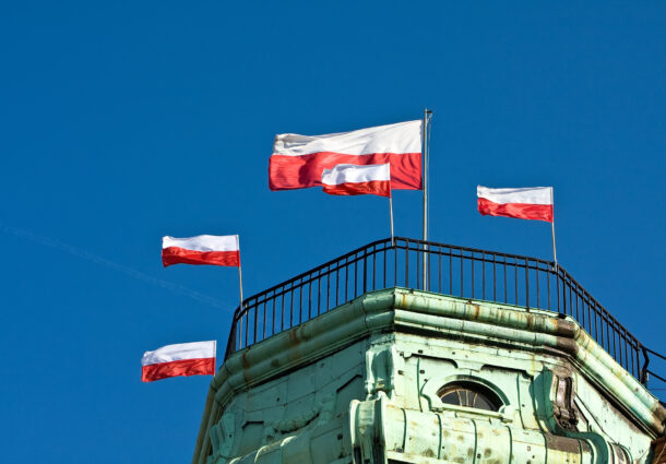 Steaguri poloneze