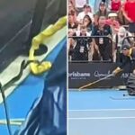 sarpe-australia-tenis