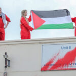activisti-pro-palestinieni