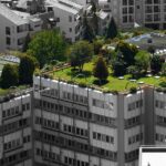 green-roofs-acoperisuri-verzi