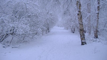 Ninge in Romania ca in mijlocul iernii. Unde s-a asternut zapada