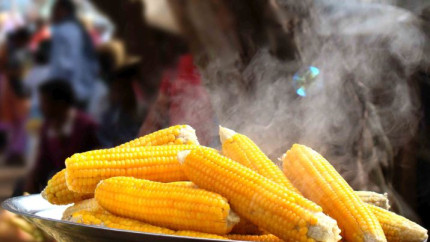 Efectele MIRACULOASE ale porumbului fiert. Contine criptoxantina si thiamina