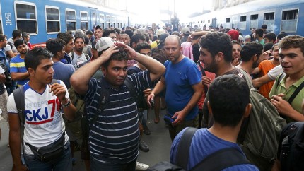 Avertismentul sirianului Hayssam In Romania vor veni 500.000 de IMIGRANTI in urmatoarele 6 luni