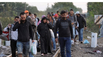 IMIGRANTI prinsi in Romania langa granita cu Serbia Au inceput sa PLANGA