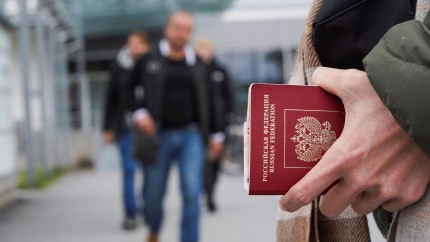 Din 21 de rusi fugiti in Coreea de Sud doar doi au primit permisiunea sa intre