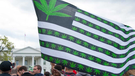 Trump face demersuri pentru a relaxa reglementările federale privind marijuana stârnind speranțe în industrie
