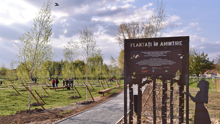 Plantati de dor Mini-padure de mesteceni plantata in Oradea in memoria oamenilor dragi care au murit