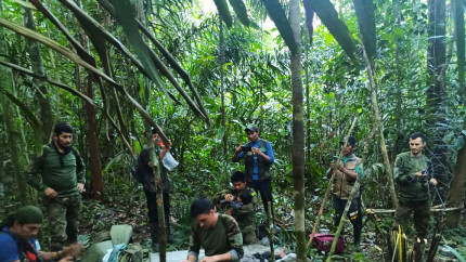 Patru copii au fost gasiti in viata dupa 5 saptamani in jungla amazoniana. Avionul in care se aflau s-a prabusit copiii au avut grija si de un bebelus de 11 luni