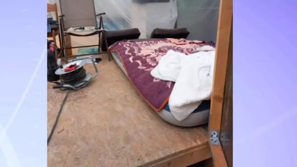 Cosmarul continua un nou azil al groazei descoperit in Voluntari Batranii de aici erau tinuti in sere in ciuda temperaturilor infernale