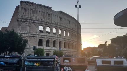 Roma declara razboi rozatoarelor din jurul Colosseumului