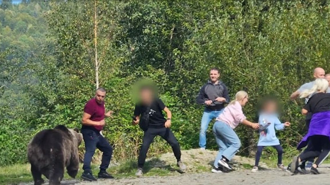 Mai multi turisti aflati pe Transfagarasan fugariti de ursul cu care incercau sa-si faca selfie-uri pentru a avea ce posta pe Tik Tok