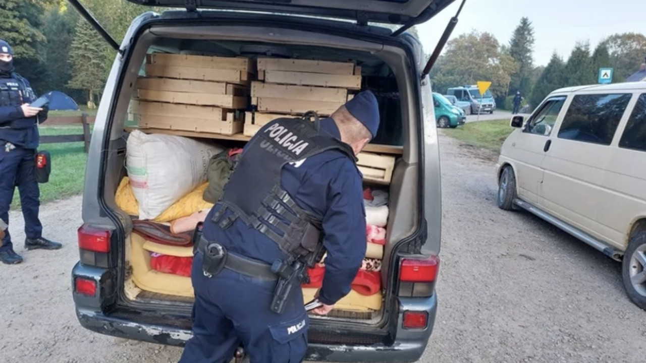 Romanii fac prapad prin padurile din Polonia Este o adevarata invazie. Nu avem nicio sansa in fata lor. Reactia romanilor Pur si simplu ne plac ciupercile poloneze