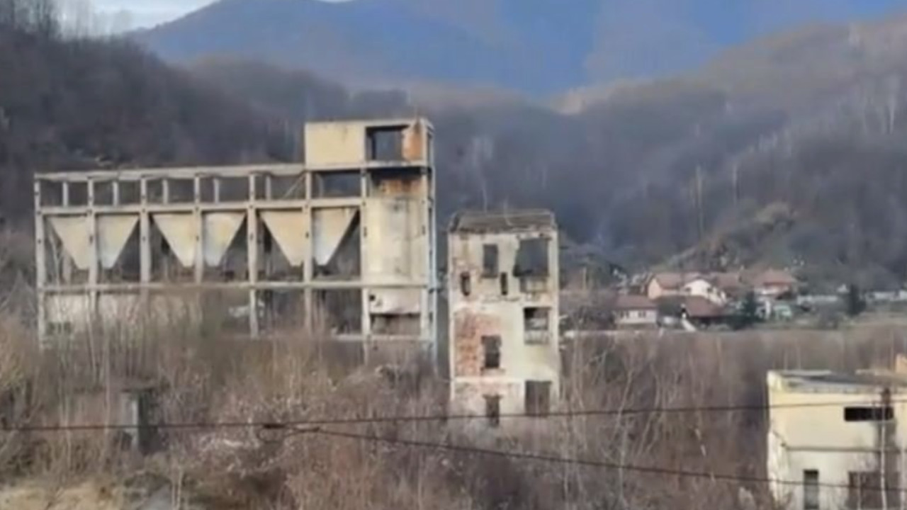 Sinuciderea fetelor din Lupeni Ma bucur ca v-am cunoscut Mersi ca ne-ati jignit si ne-ati facut in toate felurile