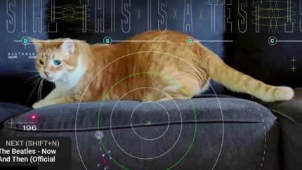 NASA a transmis din spatiu pe Pamant un videoclip cu o pisica - Video