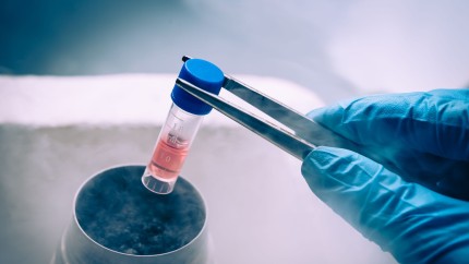 SUA Curtea Suprema din Alabama a stabilit ca embrionii congelati sunt copii