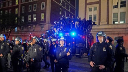 Politia din New York a intrat in forta peste demonstrantii pro-palestinieni baricadati in cladirea Universitatii Columbia peste o suta dintre acestia au fost arestati - VIDEO