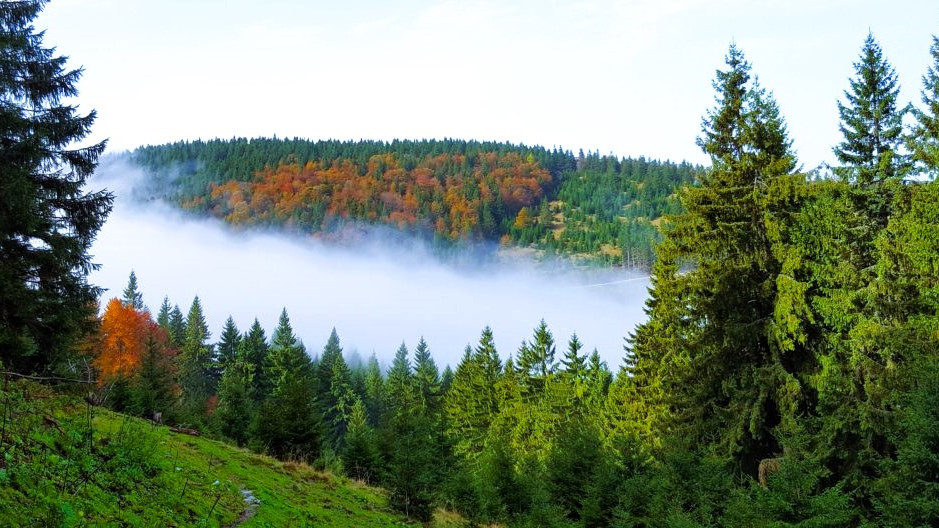 Prognoza meteo pentru noua săptămână. Vreme caldă dar schimbătoare cu ploi izolate