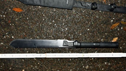 Mercenarii lui Georgescu opriti in trafic si perchezitionati. S-au gasit cutite macete bate pistoale. Horatiu Potra a fost saltat