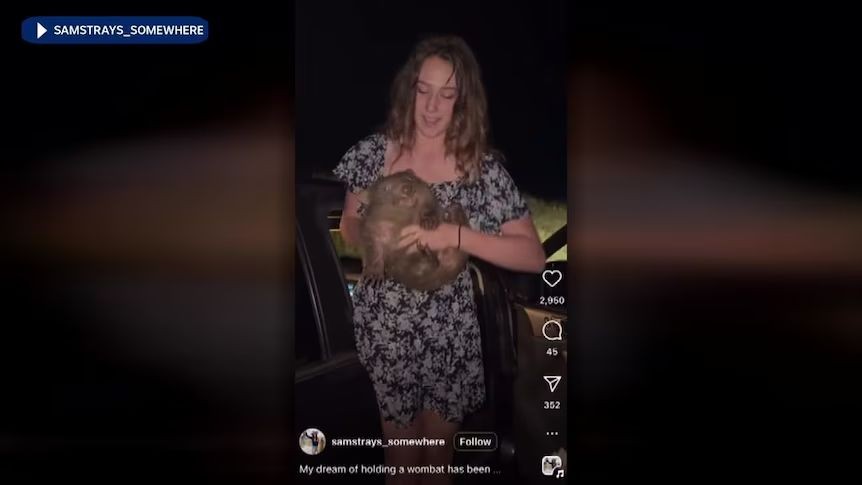 O influencerita americana si-ar putea pierde viza de Australia pentru ca s-a filmat luand un pui de wombat specie protejata de la mama lui