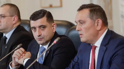 AUR rupt în două. Piperea Grindeanu umblă cu șopârle ca să obțină voturi AUR. AUR a votat însă alături de PSD luni dimineață