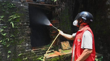 Urmează o nouă pandemie China se confruntă cu cea mai gravă epidemie de febră Chikungunya din ultimii ani