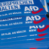 Germania Extremiștii de dreapta și de stânga își unesc forțele pentru a obține încetarea ajutorului acordat Ucrainei și normalizarea relațiilor cu Rusia