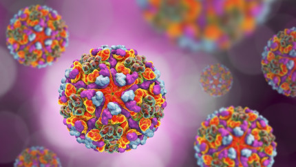 Alertă medicală A fost confirmat primul caz de virus Chikungunya din România la un pacient întors recent din Africa