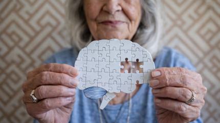 Cercetătorii au identificat un factor declanșator al bolii Alzheimer și au aflat cum poate fi neutralizat