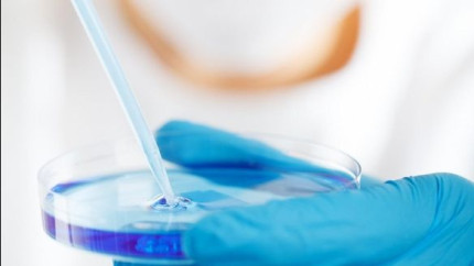Studii despre microplastice contaminate de mănuși