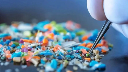 Cum pătrund microplasticele în corpul uman și ce se întâmplă când ajung în sânge și creier