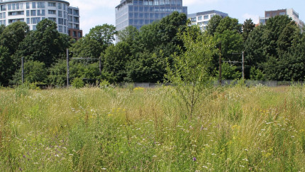 Belgia la un pas să rateze termenul UE pentru natură din cauza blocajului de la Bruxelles