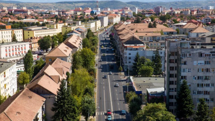 Consilierii locali PSD din Sibiu au respins propunerea ca bulevardul Vasile Milea să fie redenumit Regina Maria. În 1989 Milea a fost implicat în reprimarea Revoluției din Timișoara
