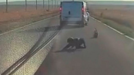Un copil a scăpat cu viață după ce  a căzut dintr-o dubă aflată în mers pe o șosea din Tulcea  VIDEO