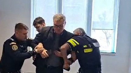 Destituit și scos în cătușe din birou în urmă cu trei luni directorul Gărzii Forestiere București a fost repus în funcție de judecători