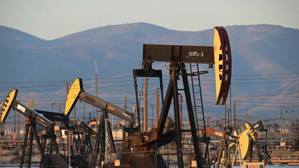 Venezuela ia în calcul ieșirea din OPEC. Zăcămintele sale de petrol în valoare de miliarde de dolari vor fi închiriate marilor companii americane