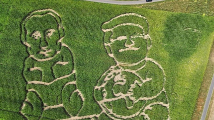 Un fermier german i-a sculptat într-un lan de porumb pe Donald Trump și Vladimir Putin ca pe niște bebeluși în pamperși