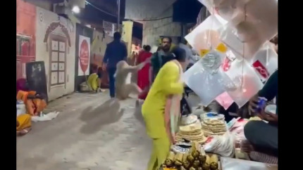 Maimuțele din India au învățat să negocieze fură telefoane și ochelari apoi cer suc sau mâncare pentru a le da înapoi - VIDEO