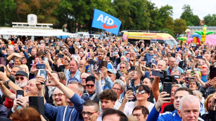 Profilul alegătorului AfD identic cu cel al suveranistului român educație redusă frustrat venituri mici nostalgic după epoca nazistă deși nu a trăit-o