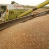 UE dorește să restricționeze accesul Ucrainei la piața agricolă odată cu aderarea la blocul comunitar