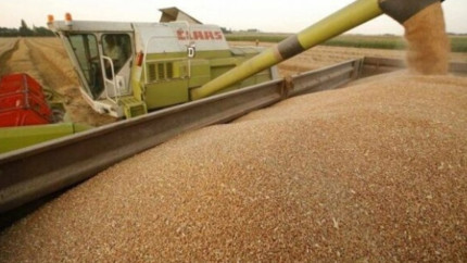 UE dorește să restricționeze accesul Ucrainei la piața agricolă odată cu aderarea la blocul comunitar