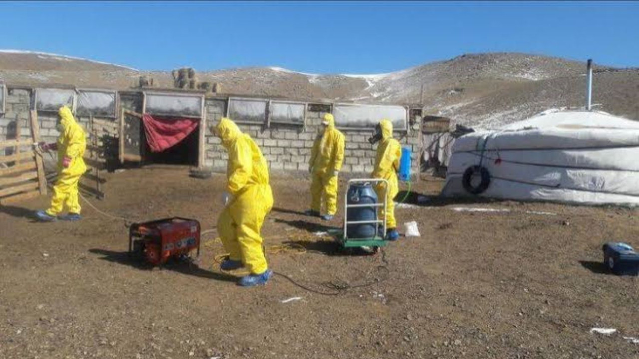 Epidemia de ciumă din Rusia ia amploare La Irkutsk aproape 200 de persoane sunt monitorizate iar în grădinițe se împart măști de protecție  VIDEO