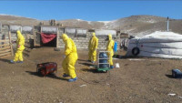 Epidemia de ciumă din Rusia ia amploare La Irkutsk aproape 200 de persoane sunt monitorizate iar în grădinițe se împart măști de protecție  VIDEO