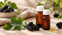 Extractul din frunze de dud și legătura sa cu glicemia și metabolismul