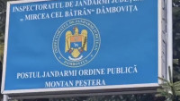 Au tăiat ilegal 20 de brazi din Parcul Natural Bucegi pentru a-i folosi la o nuntă. Doi bărbați prinși în flagrant de jandarmii montani